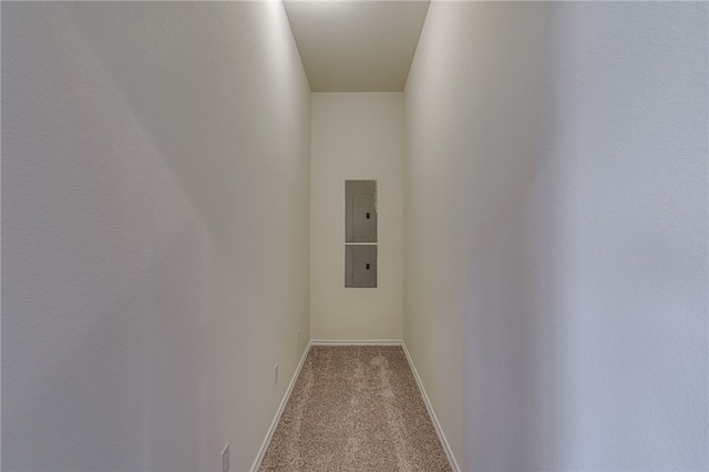 interior space with electric panel and light colored carpet