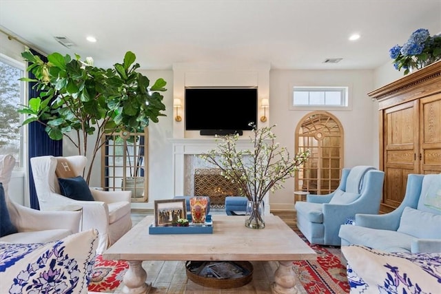 living room with a fireplace and wood-type flooring