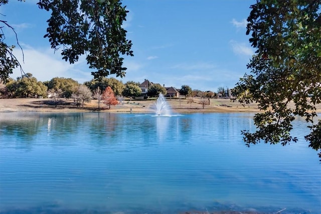 property view of water