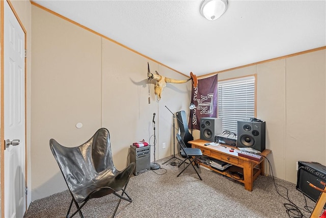 office featuring carpet and ornamental molding