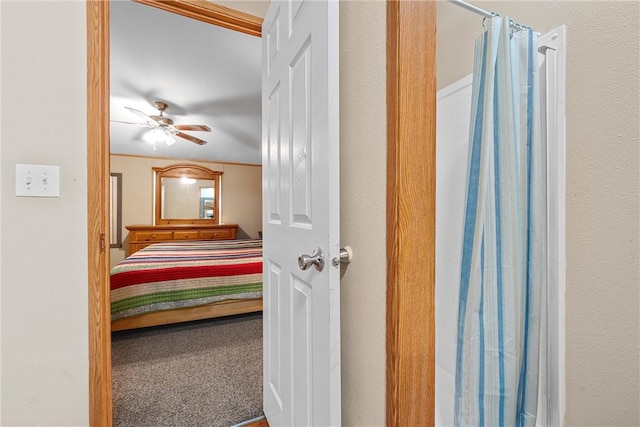 carpeted bedroom with ceiling fan