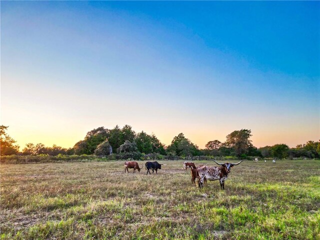 nature at dusk with a rural view