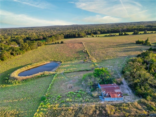 birds eye view of property featuring a rural view