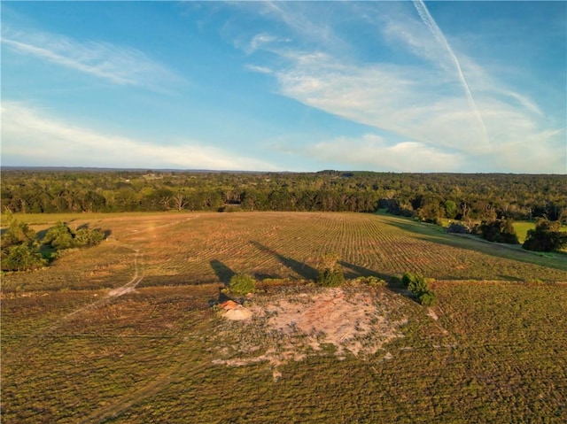 birds eye view of property featuring a rural view