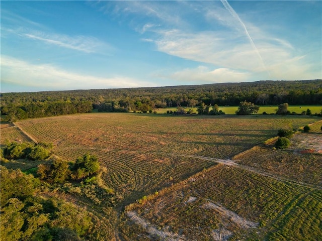 birds eye view of property featuring a rural view