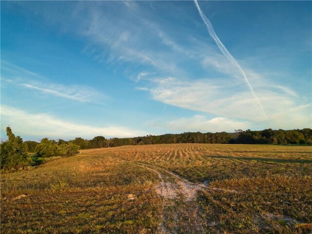 view of local wilderness featuring a rural view