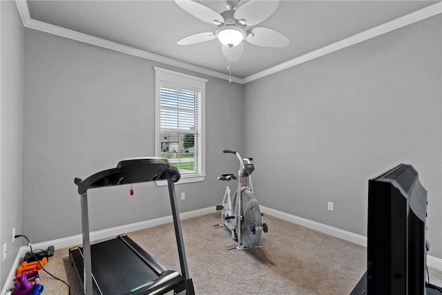 exercise area with carpet flooring, ceiling fan, and ornamental molding