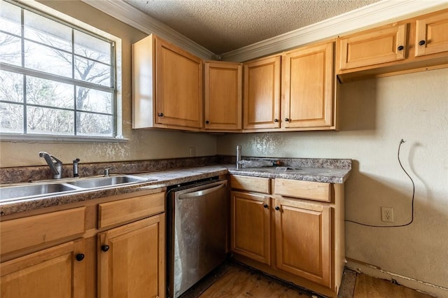 kitchen featuring crown molding, sink, stainless steel dishwasher, a textured ceiling, and dark hardwood / wood-style flooring