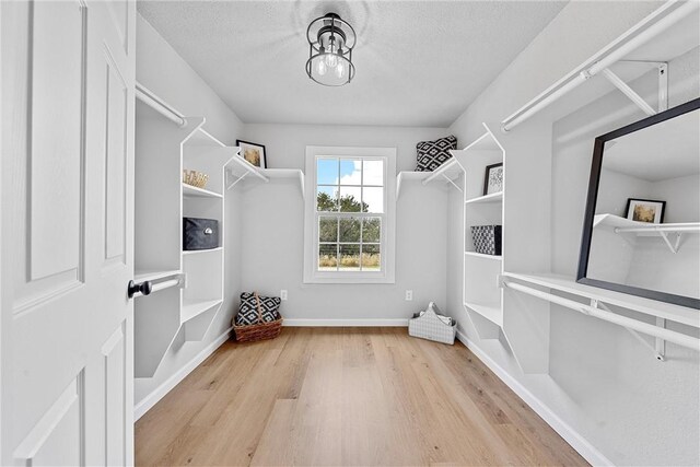 spacious closet with light wood-type flooring