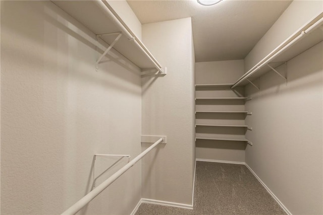 spacious closet featuring dark colored carpet