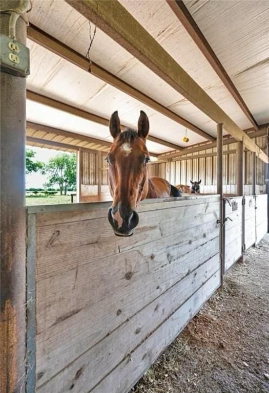 view of stable