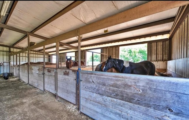 view of horse barn