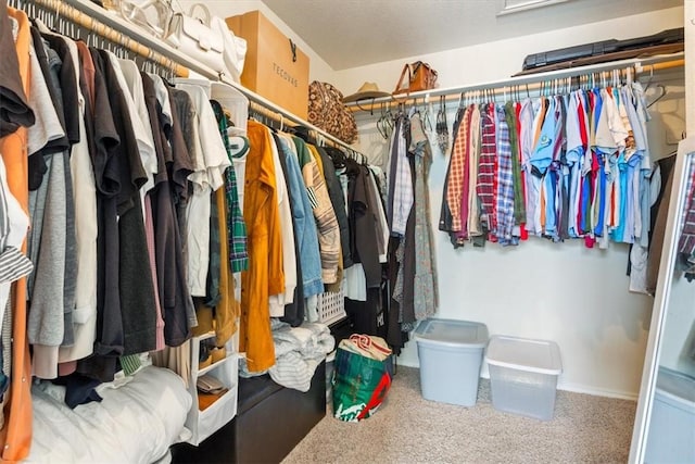 walk in closet featuring carpet floors