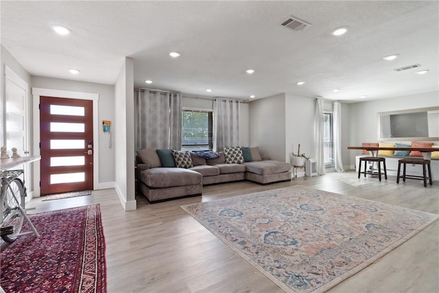 living room featuring light hardwood / wood-style floors