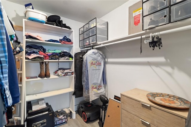 walk in closet featuring light hardwood / wood-style floors