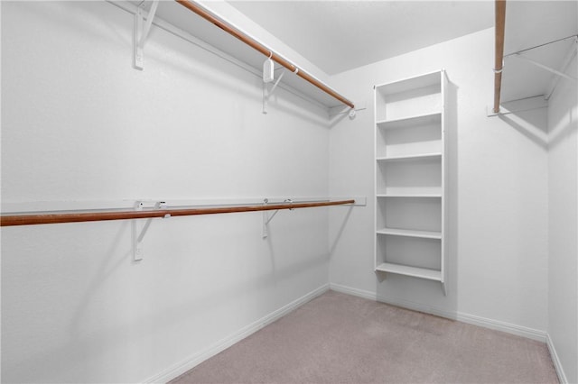 walk in closet featuring light carpet