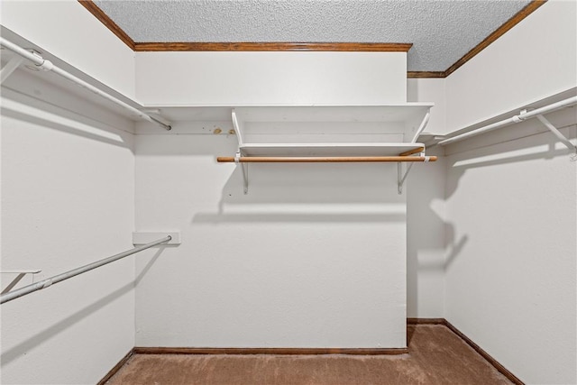 spacious closet featuring carpet floors