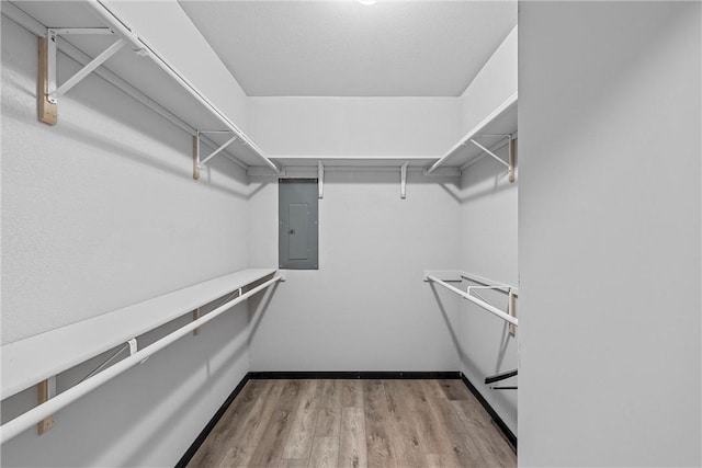 walk in closet with electric panel and light hardwood / wood-style floors