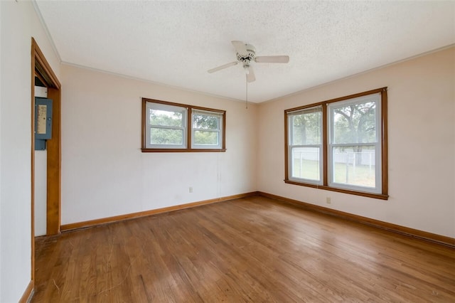 spare room with hardwood / wood-style floors, a textured ceiling, ceiling fan, and crown molding