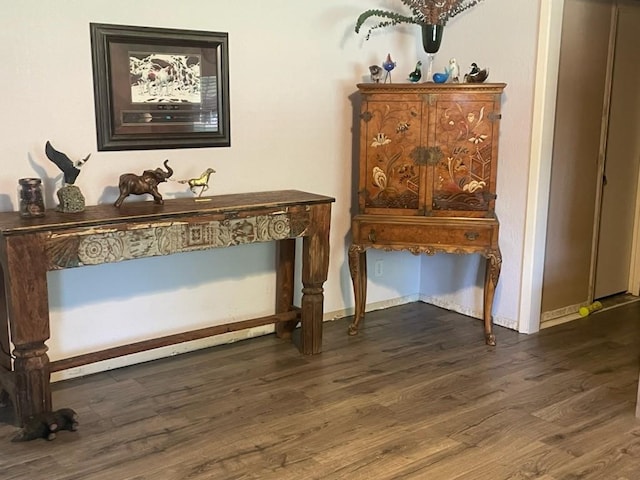 miscellaneous room with dark hardwood / wood-style flooring