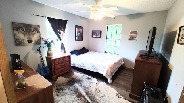 bedroom with multiple windows, ceiling fan, dark wood-type flooring, and a textured ceiling