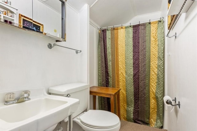 bathroom featuring toilet and sink