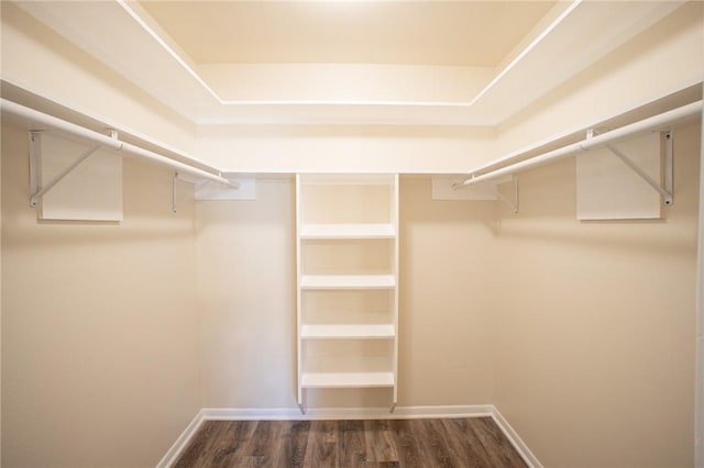 spacious closet with dark hardwood / wood-style floors