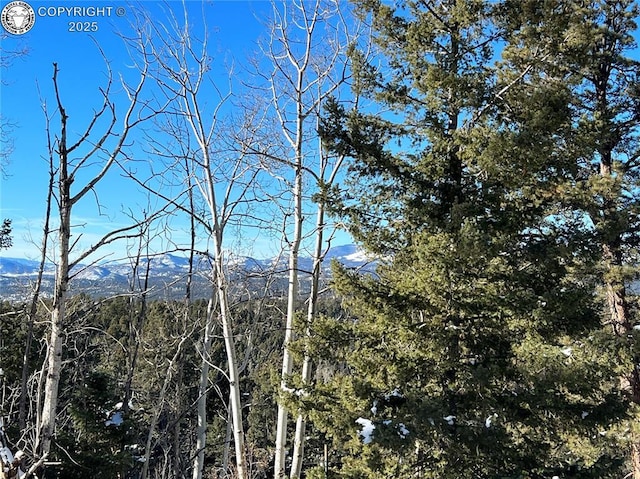 2369 Mountain Estates Rd, Florissant CO, 80816 land for sale