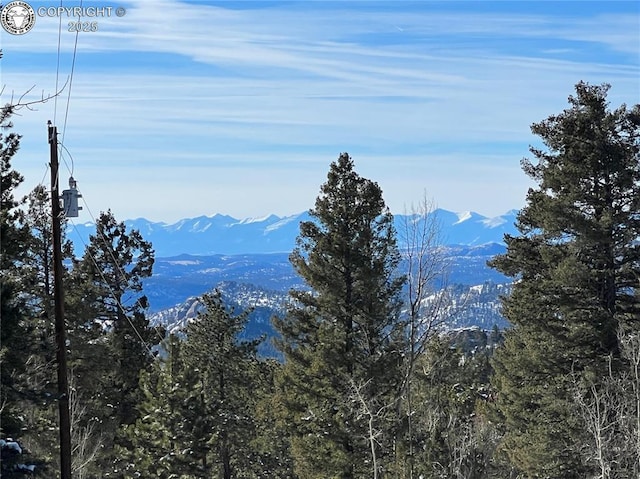 Listing photo 2 for 2369 Mountain Estates Rd, Florissant CO 80816