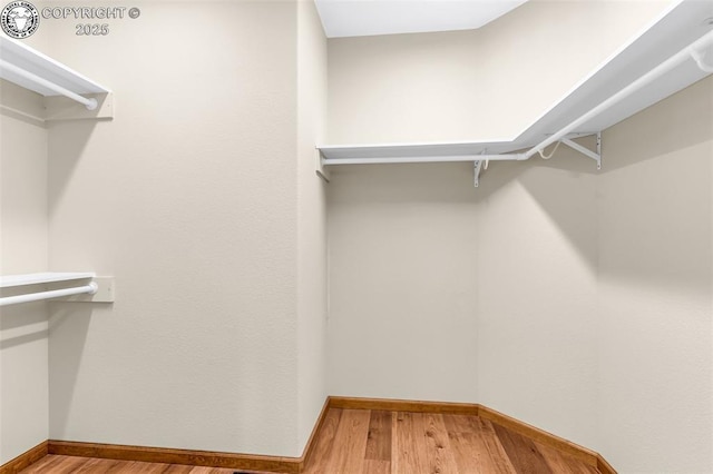 428 Empire Rd, Canon City, CO 81212 - photo 23