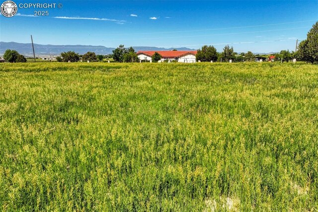 1115 M St, Penrose, CO 81240 - photo 9