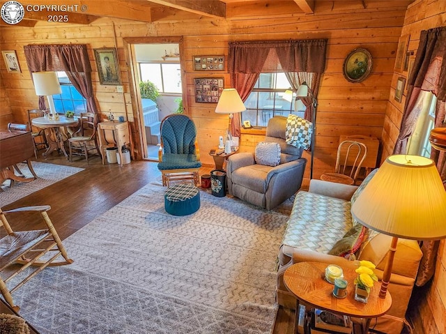 1660 Lone Tree Cir, Westcliffe, CO 81252 - living area with wood walls and wood finished floors