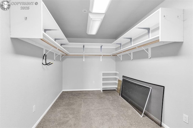 121 Mourning Dove Dr, Canon City, CO 81212 - walk in closet featuring carpet floors