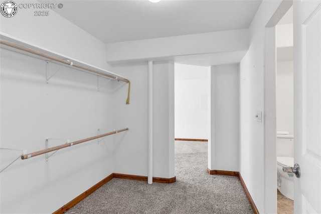121 Mourning Dove Dr, Canon City, CO 81212 - spacious closet with carpet flooring