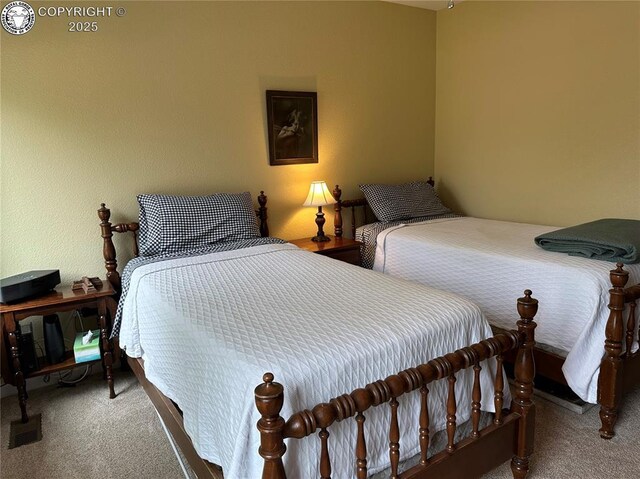 601 Petroleum Ave, Florence, CO 81226 - bedroom with carpet flooring