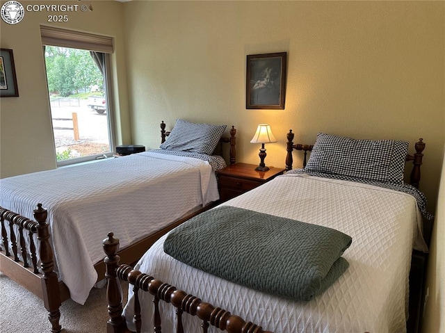 601 Petroleum Ave, Florence, CO 81226 - view of carpeted bedroom