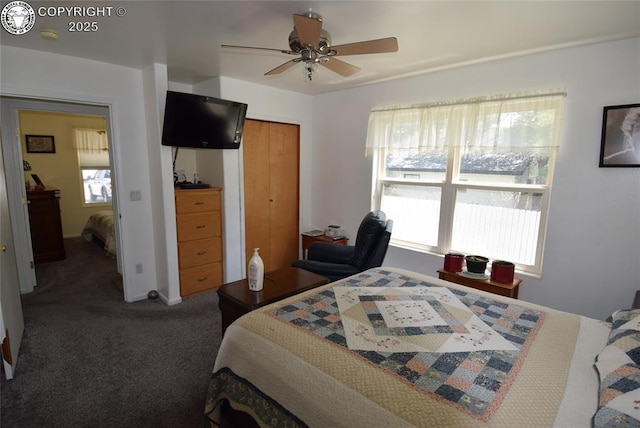 221 Greydene Ave, Canon City, CO 81212 - bedroom with carpet, a closet, a desk, and a ceiling fan