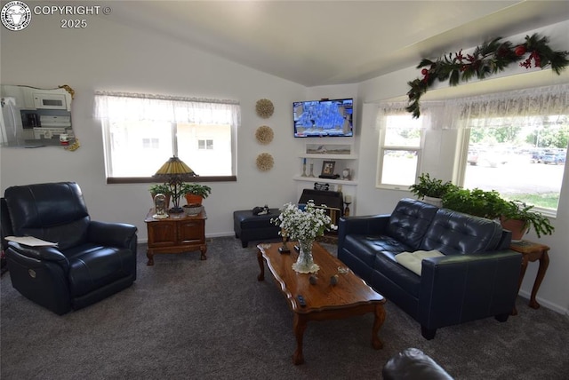 221 Greydene Ave, Canon City, CO 81212 - living room with carpet and lofted ceiling