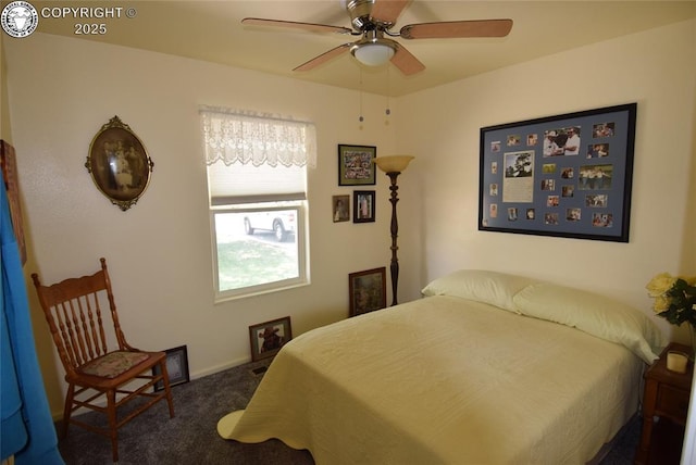 221 Greydene Ave, Canon City, CO 81212 - bedroom featuring carpet floors and a ceiling fan