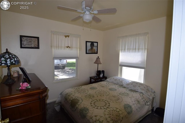 221 Greydene Ave, Canon City, CO 81212 - bedroom featuring multiple windows, carpet flooring, and ceiling fan