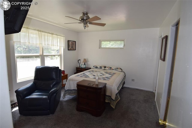 221 Greydene Ave, Canon City, CO 81212 - carpeted bedroom with a ceiling fan
