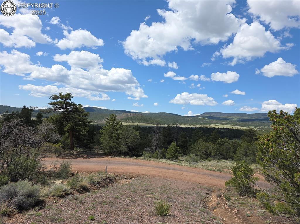 615 Rosebush Rd, Canon City, CO 81212 - photo 3