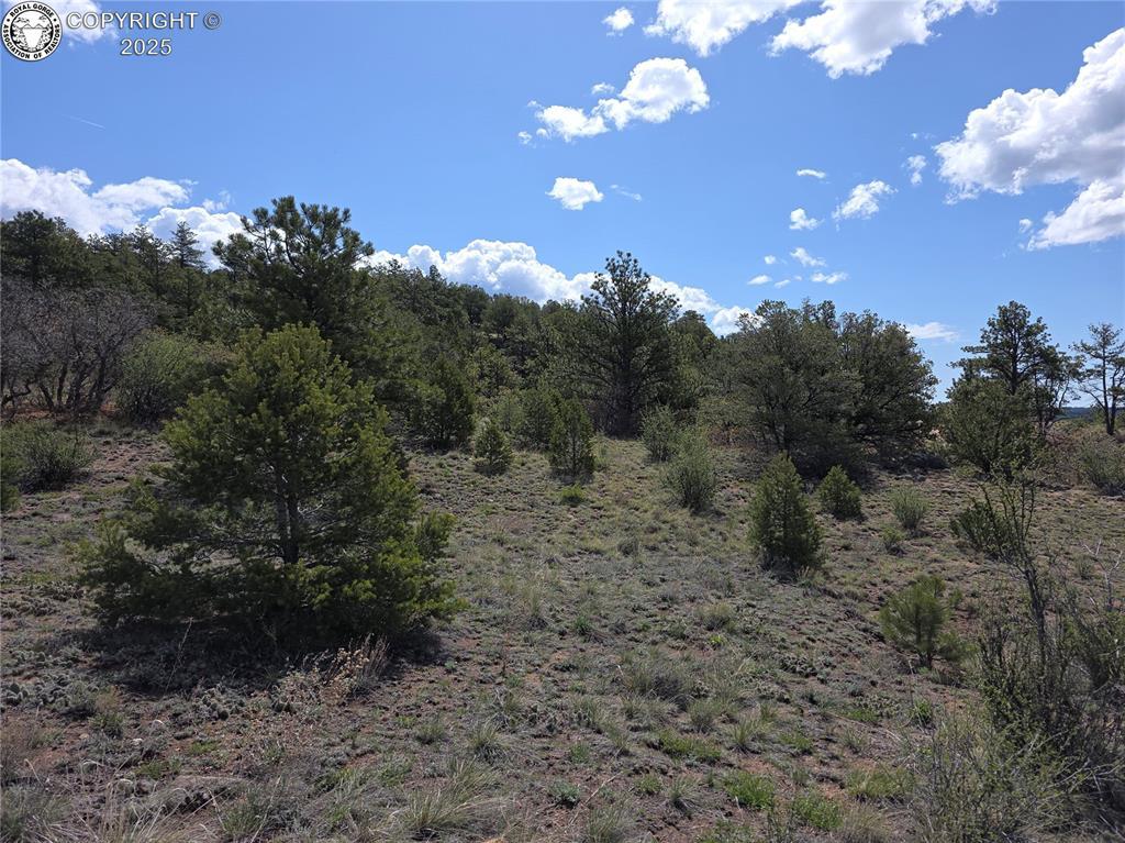 615 Rosebush Rd, Canon City, CO 81212 - photo 1
