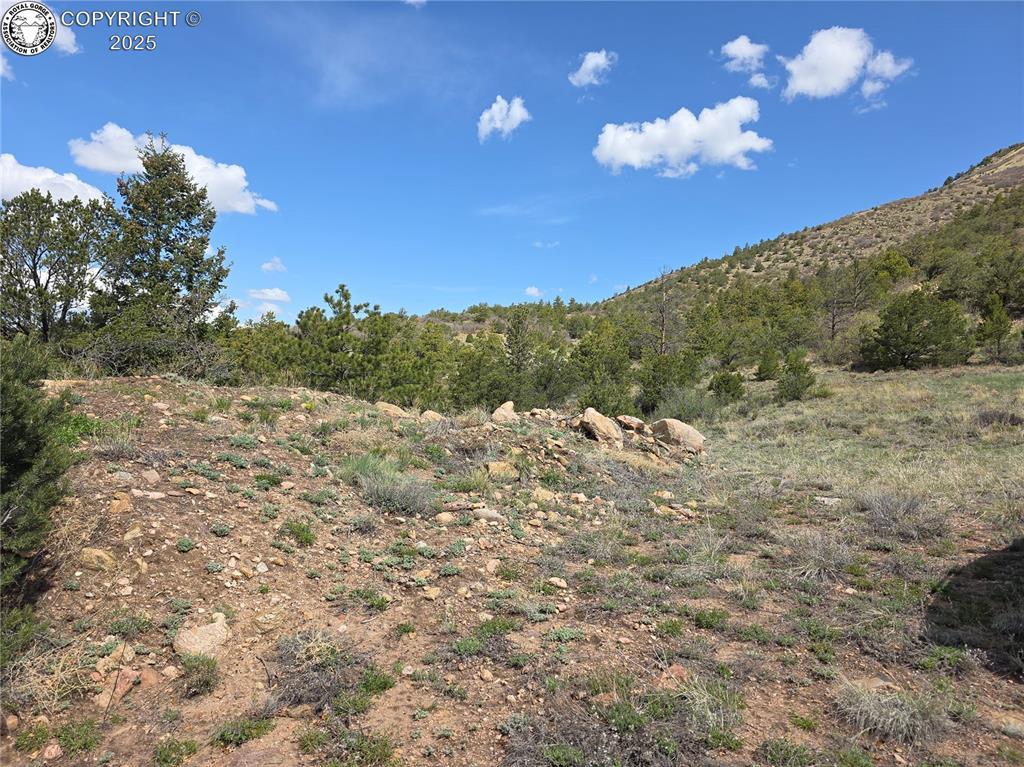 615 Rosebush Rd, Canon City, CO 81212 - photo 2