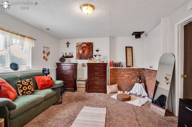 951 Tennessee Ave, Canon City, CO 81212 - photo 17