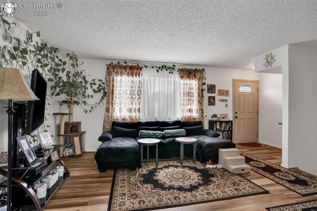 951 Tennessee Ave, Canon City, CO 81212 - photo 8