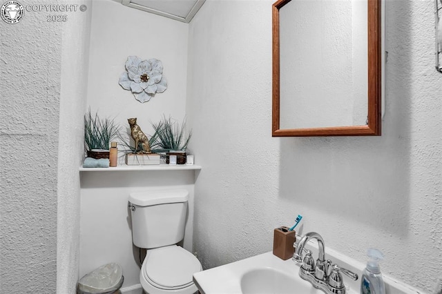 951 Tennessee Ave, Canon City, CO 81212 - photo 22