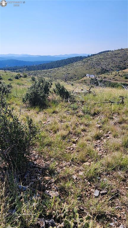 TBDL 32nd Trail, Cotopaxi, CO 81223 - photo 18