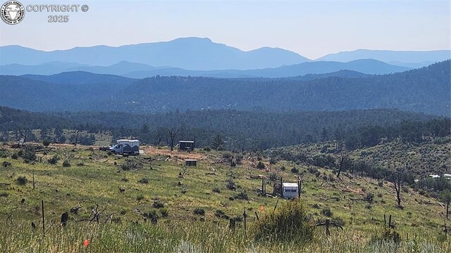 TBDL 32nd Trail, Cotopaxi, CO 81223 - photo 11
