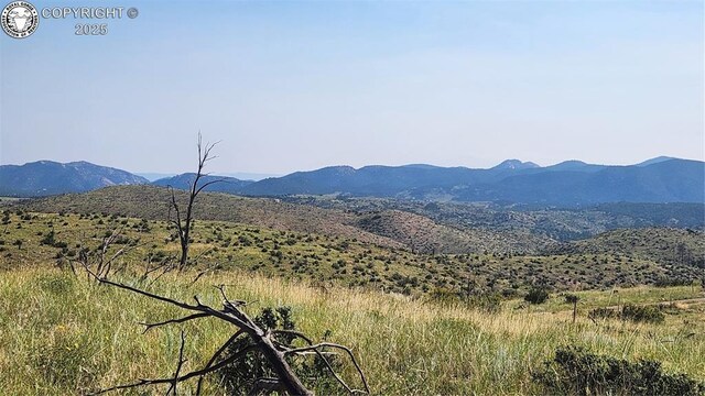 TBDL 32nd Trail, Cotopaxi, CO 81223 - photo 12